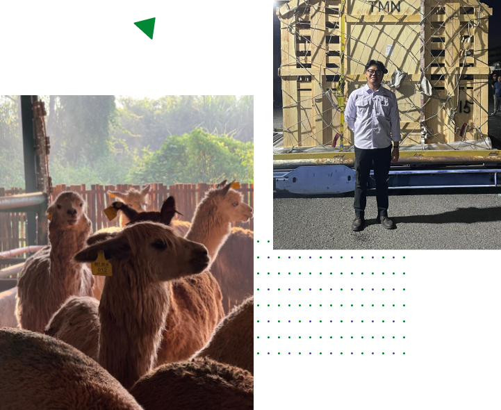 about